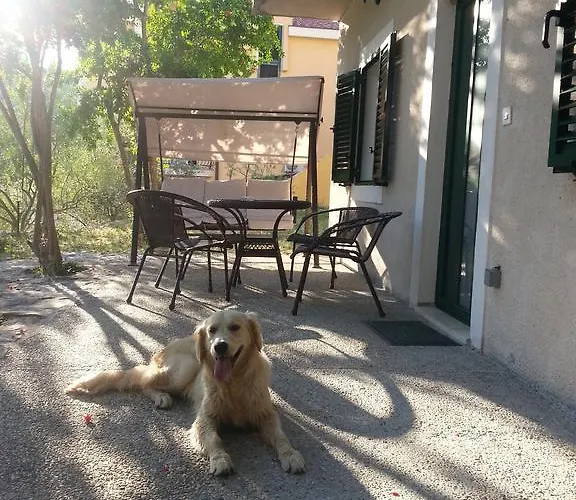 & Formenti ゲストハウス